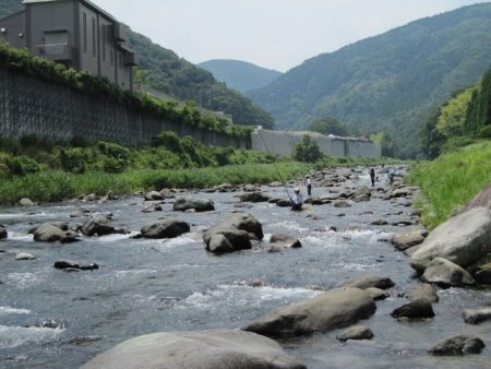狩野川(狩野川漁業協同組合) 釣果