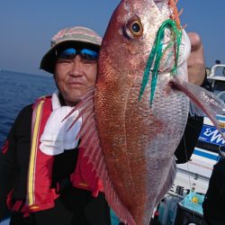 シードリーム 釣果