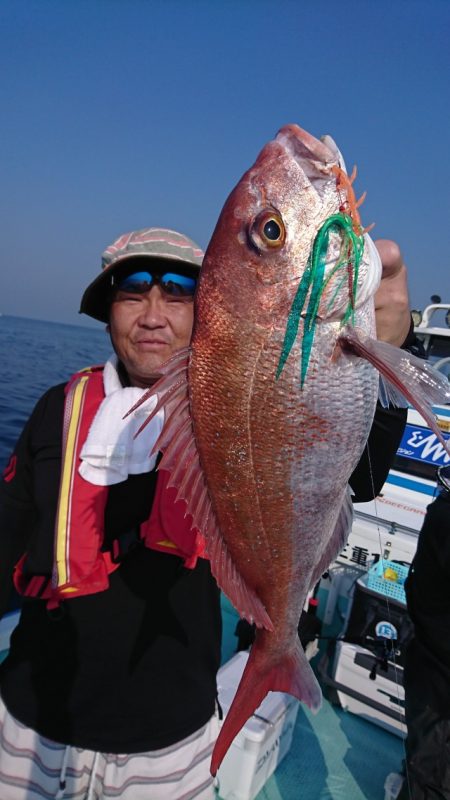 シードリーム 釣果