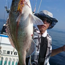 シードリーム 釣果