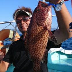 シードリーム 釣果