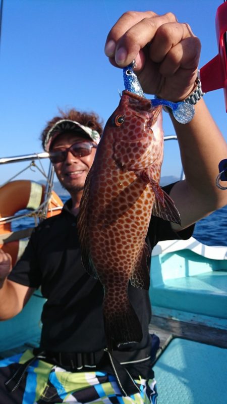 シードリーム 釣果