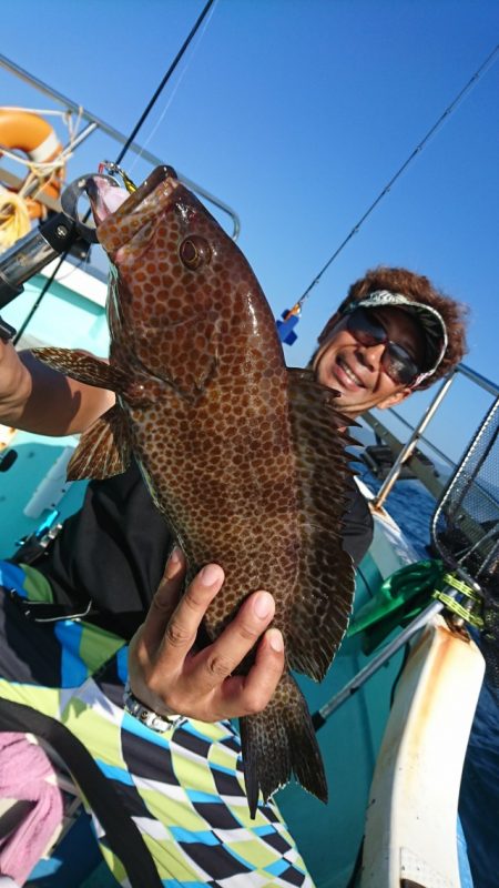 シードリーム 釣果