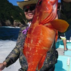 シードリーム 釣果