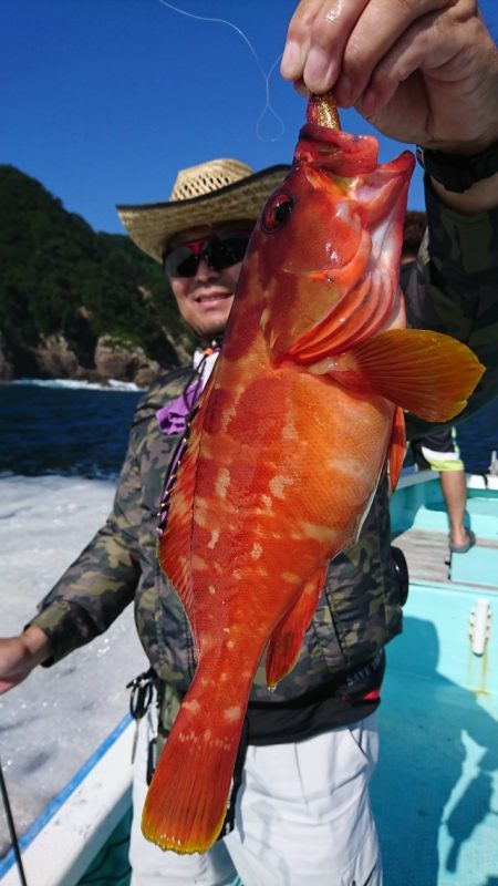 シードリーム 釣果