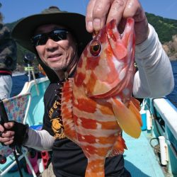 シードリーム 釣果