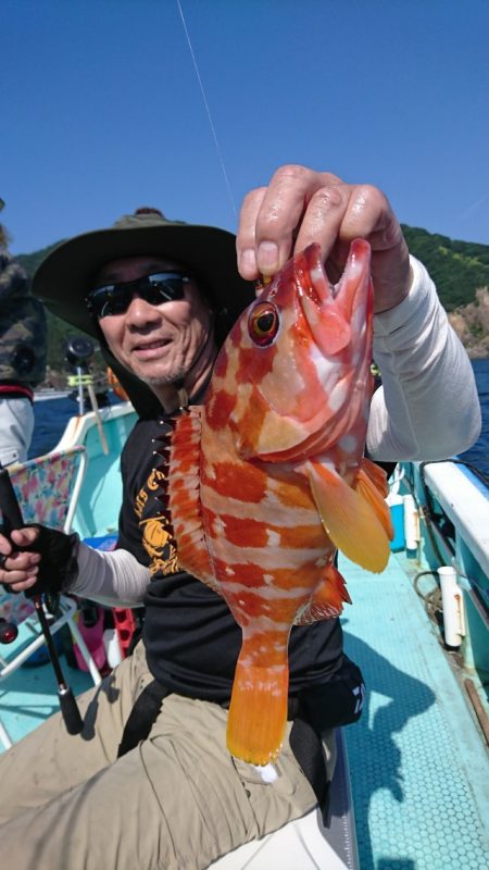 シードリーム 釣果