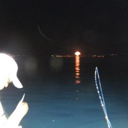 第三むつりょう丸 釣果