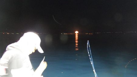 第三むつりょう丸 釣果