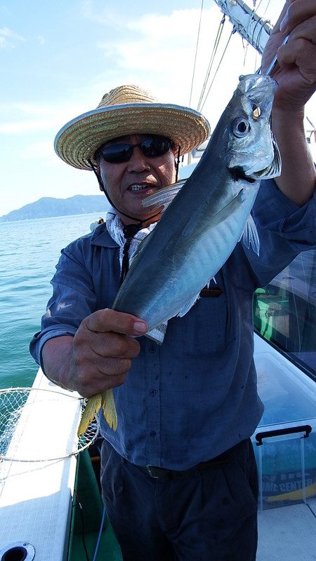 第三むつりょう丸 釣果