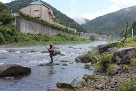 狩野川(狩野川漁業協同組合) 釣果