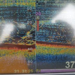 遊漁船 ニライカナイ 釣果