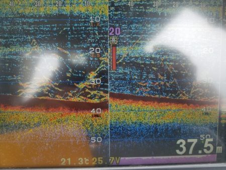 遊漁船 ニライカナイ 釣果