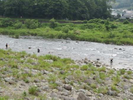 狩野川（狩野川漁業協同組合） 釣果