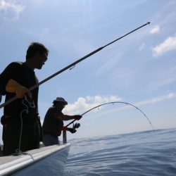 へいみつ丸 釣果