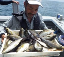 石川丸 釣果