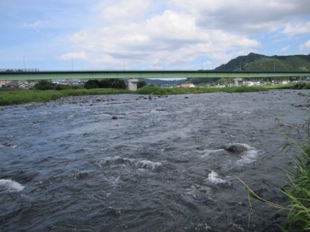 狩野川（狩野川漁業協同組合） 釣果