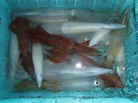 第二むつ漁丸 釣果