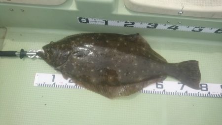 気仙沼　つり丸 釣果