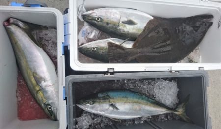 気仙沼　つり丸 釣果