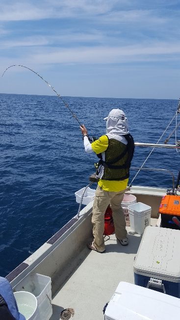 海峰 釣果