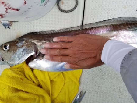 遊漁船　ニライカナイ 釣果