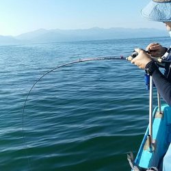 宝昌丸 釣果