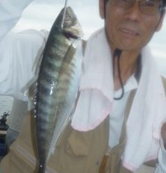 松福丸 釣果