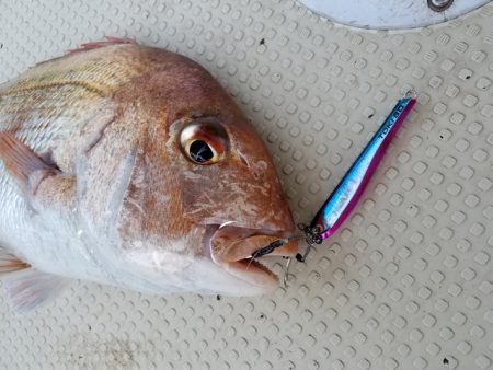 遊漁船 ニライカナイ 釣果