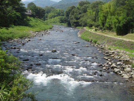 狩野川(狩野川漁業協同組合) 釣果