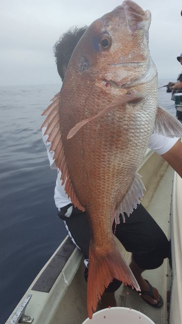 海峰 釣果