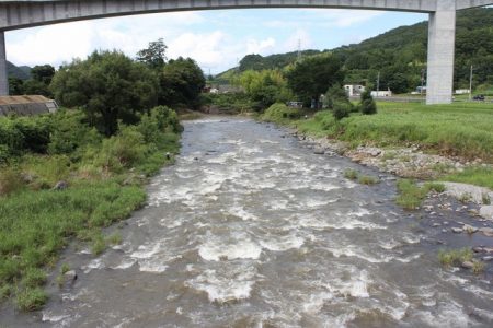 狩野川(狩野川漁業協同組合) 釣果