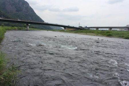 狩野川(狩野川漁業協同組合) 釣果