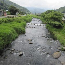 狩野川(狩野川漁業協同組合) 釣果
