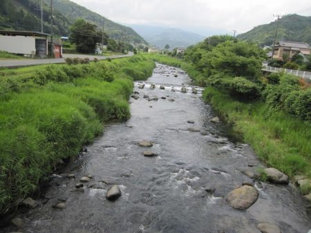 狩野川(狩野川漁業協同組合) 釣果