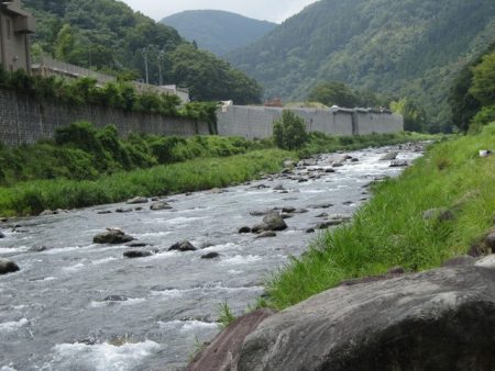 狩野川(狩野川漁業協同組合) 釣果