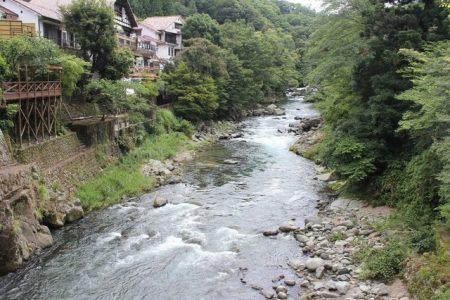 狩野川(狩野川漁業協同組合) 釣果