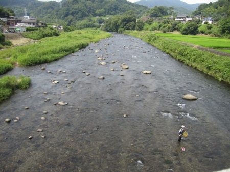 狩野川(狩野川漁業協同組合) 釣果