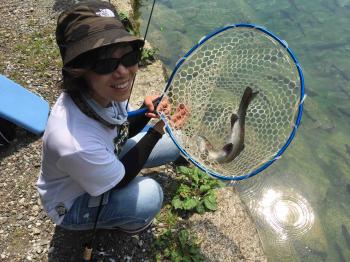 フィッシング サンクチュアリ 釣果