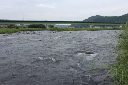 狩野川(狩野川漁業協同組合) 釣果