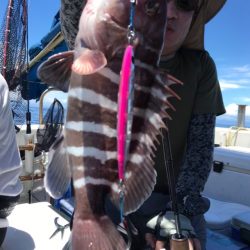 Blue.win 海人丸 釣果