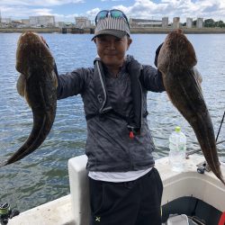 リトルワン 釣果