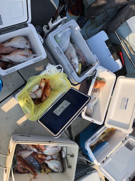 リトルワン 釣果