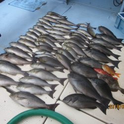 第十八吉栄丸 釣果