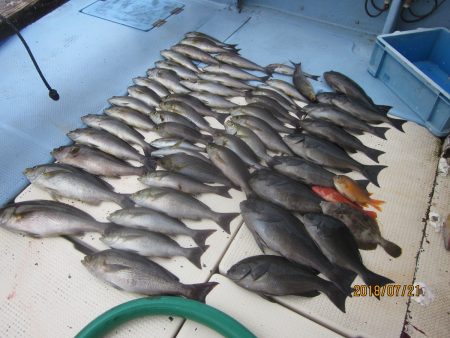 第十八吉栄丸 釣果