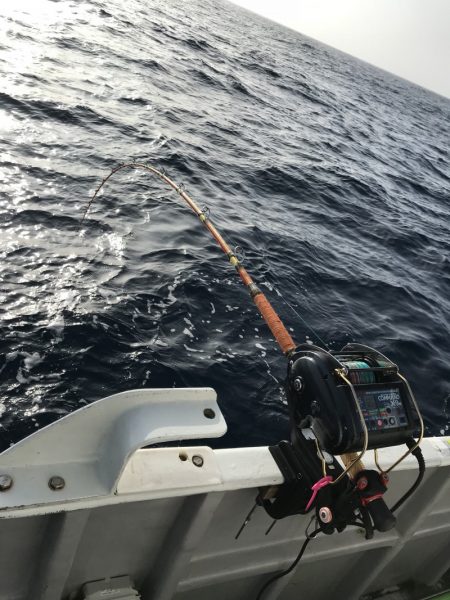 たいし丸 釣果