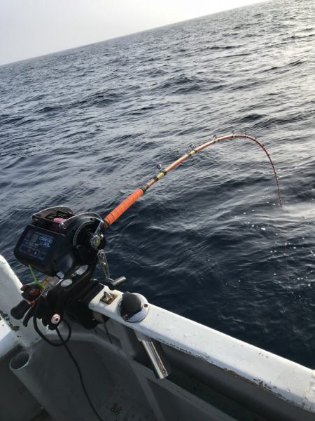 たいし丸 釣果