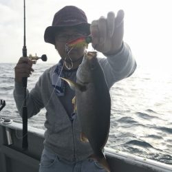 たいし丸 釣果