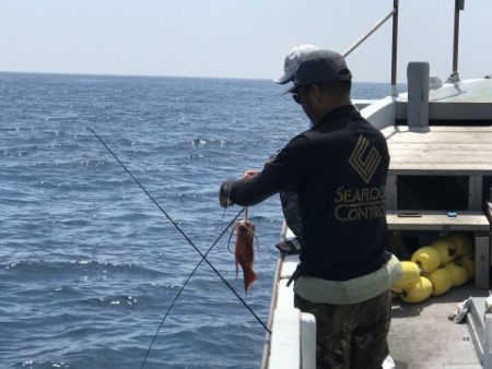 たいし丸 釣果