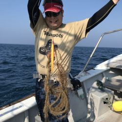 たいし丸 釣果